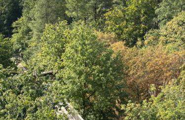 Appartement Zum Leuktal - Foto 3