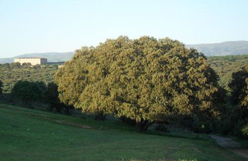 La Casa De La Abuela - Photo 46
