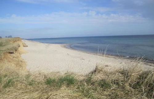 Seemöwe 1 - Foto 19