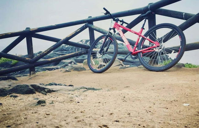 Viña del Mar & Valparaíso Bike Tour - Photo 5