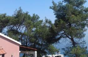 Modern Robinson Veli Bare - Photo 15