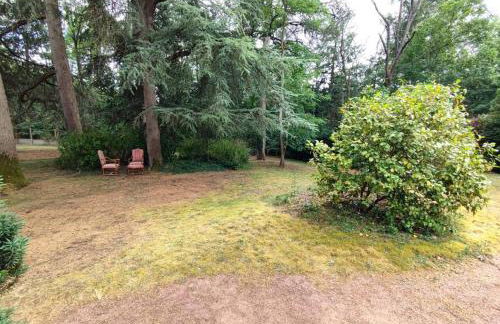 Gite LE 45 TOURS - Foto 10