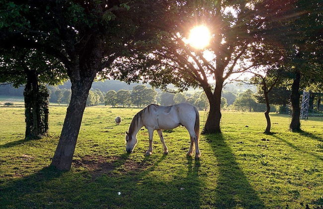 Casa Cazoleiro - Foto 28