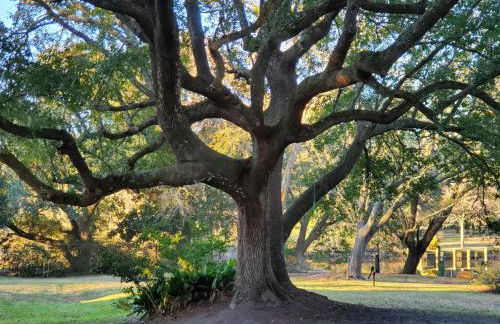 4br Coastal Home I Sleeps 12 I Dock & Firepit - Foto 18