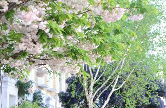 The Chic Retreat - Foto 6