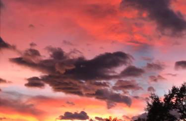 Refugi de l'Albera - Foto 14