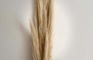 Spacious 82 m2 Two Bedroom classy apartment near City Center - Foto 44