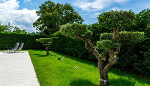 KARLO - Foto 3, Garden