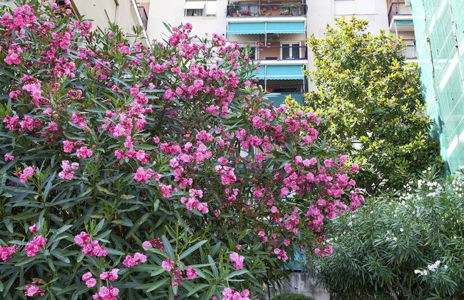 Golden Skyview From San Martino by Wonderful Italy - Foto 3