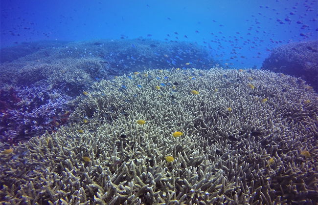 Aore Breeze - Photo 19