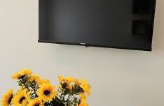 Golden Moon - Foto 8