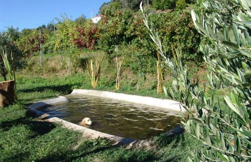 Quinta de Santa Marinha - Foto 21