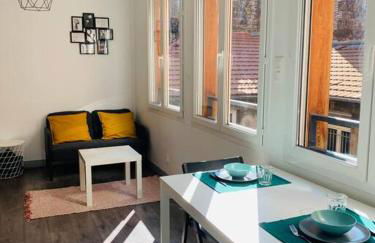 Saint Etienne : Studio hyper centre - Foto 1