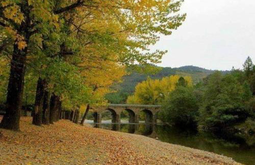 Casa rural La calleja de las hurdes TRCC00555 - Foto 66