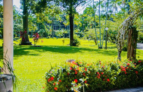 Casa c Wifi, churrasq, pisc, redario, Pet friendly - Photo 40