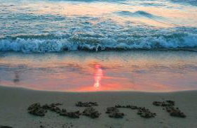 Magnolia Senses - Foto 27