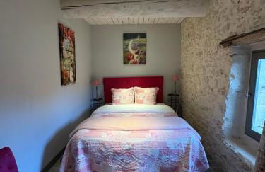 Domaine de la barbeirasse - Foto 77