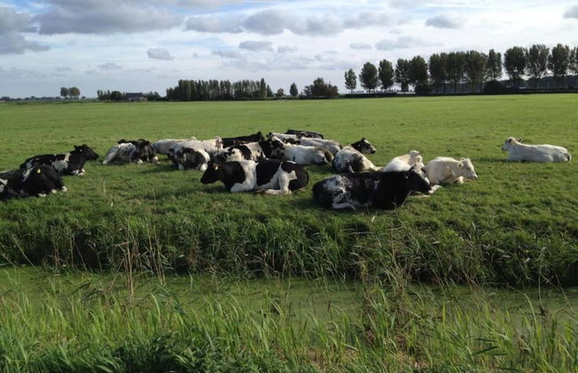 Holiday Home in Simonshaven by Lake Beach - Foto 36