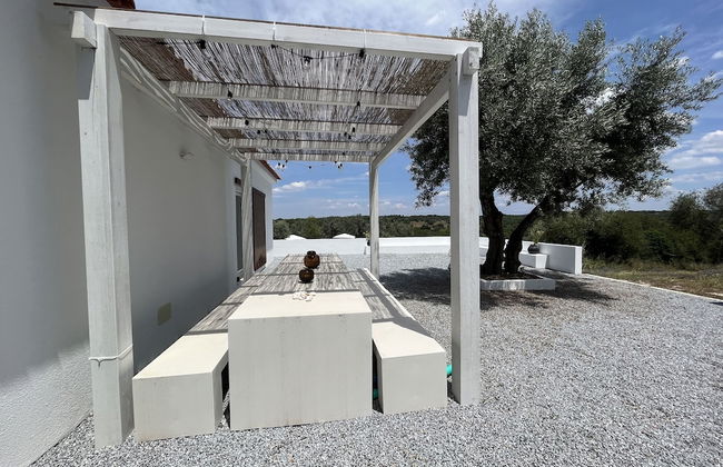 Fazenda do Pomar - Foto 57