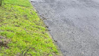 Charming three bedroom house in Durham - Foto 5