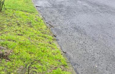 Charming three bedroom house in Durham - Foto 5