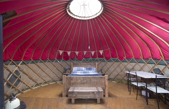 Charming Yurt in Kelburn Estate Near Largs - Photo 10