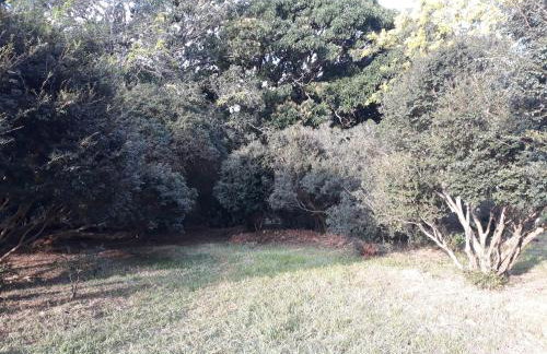 Chalé Veredas e Buritis - Foto 61