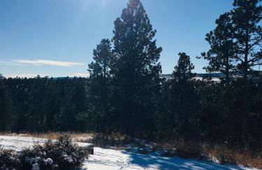 Priceless Black Hills View - Foto 51