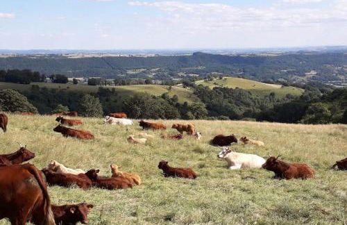 Gîte des Hirondelles - Photo 11