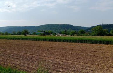 Ferienwohnung in Grenzach - Foto 31