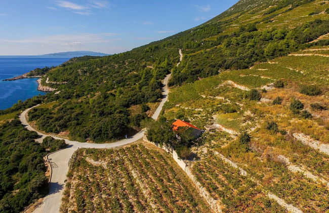 Country Home Dingač - Photo 9