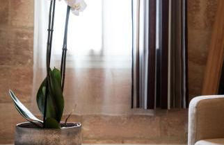 Demeure des Girondins - Foto 6