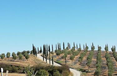 Podere Sant'Antonio - Foto 13