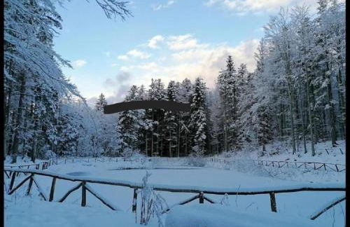 Appartamento Monolocale La mia Casina di Montagna - Foto 30