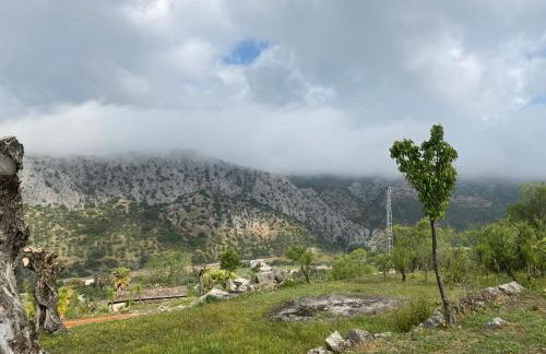 Apartamentos Cedro Alto - Photo 30