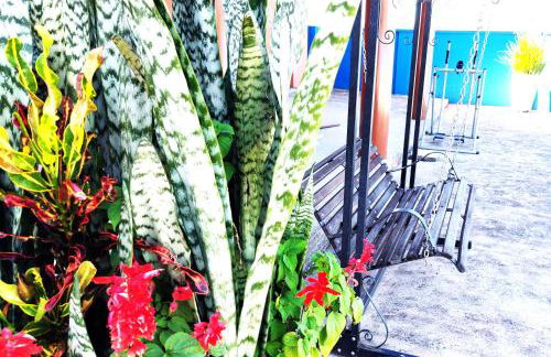 Temporada Belas Casas - Foto 8