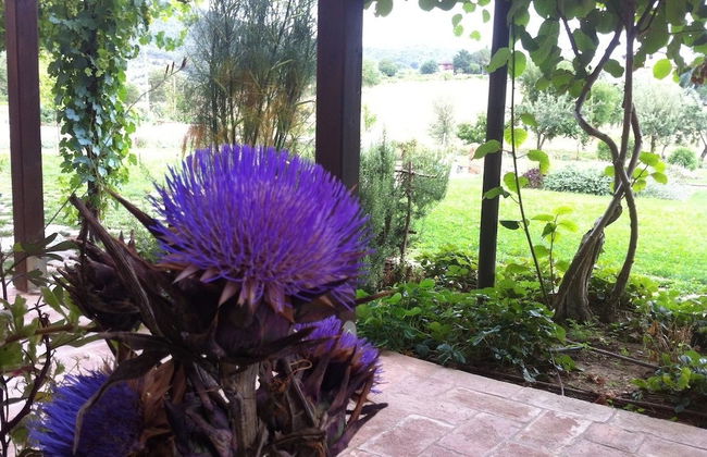 Abbazia Sette Frati Agriturismo Fratres - Photo 23