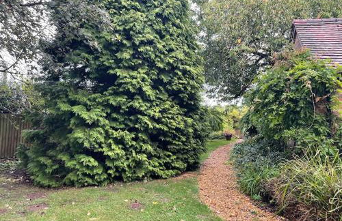 The Big Cosy Boudoir Bed + Hot tub - Photo 5