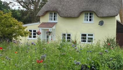 Primrose Cottage - Photo 2, Garden, Garden view