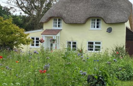 Primrose Cottage - Photo 2