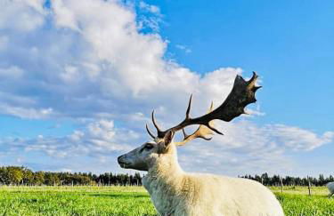 Monte do Lago, Pegões - Foto 51