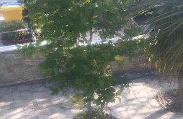 Feriendomizil Moll - Photo 18