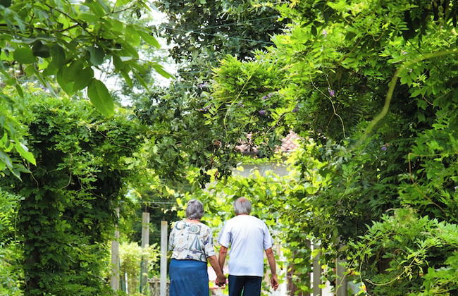 Agrirelais La Bolla - Foto 17