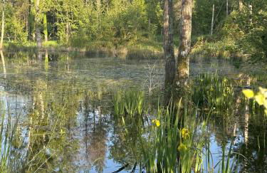 Le refuge de Chambord - Photo 25