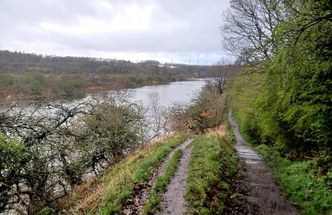 3 Bed Cottage-sleeps 6-country Views-pet Friendly - Foto 20