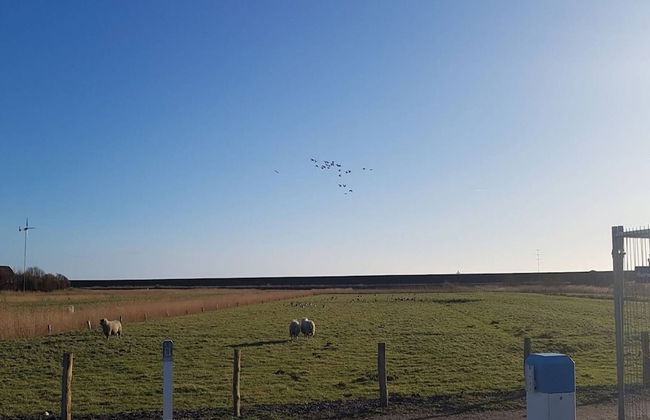 Gemuetliches, Exklusives Ferienhaus in Dagebuell - Foto 30