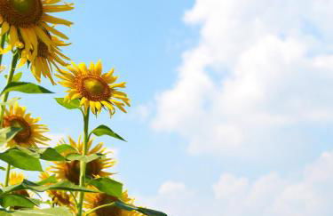 Appartamento Zia Ninìn - la gioia di un tempo! - Foto 14