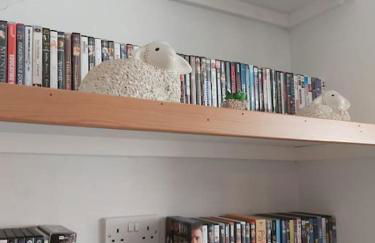 Y Llew Bach, the tiny house - Photo 9