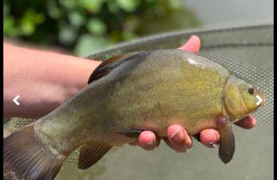 Weeley Bridge 3 Bedroom Luxury Holiday Home - Foto 8