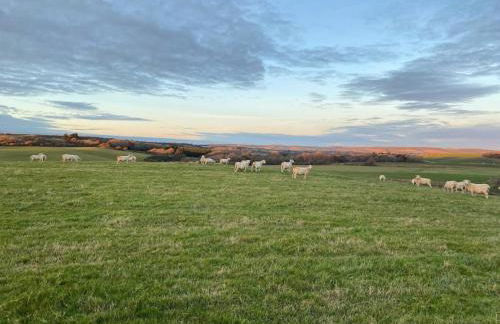 2 Bed in Ventnor oc-87188 - Foto 22